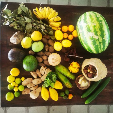 Tangerina, sapucaia, kara, banana prata, limao, manga, melancia, castanha do Para...!)