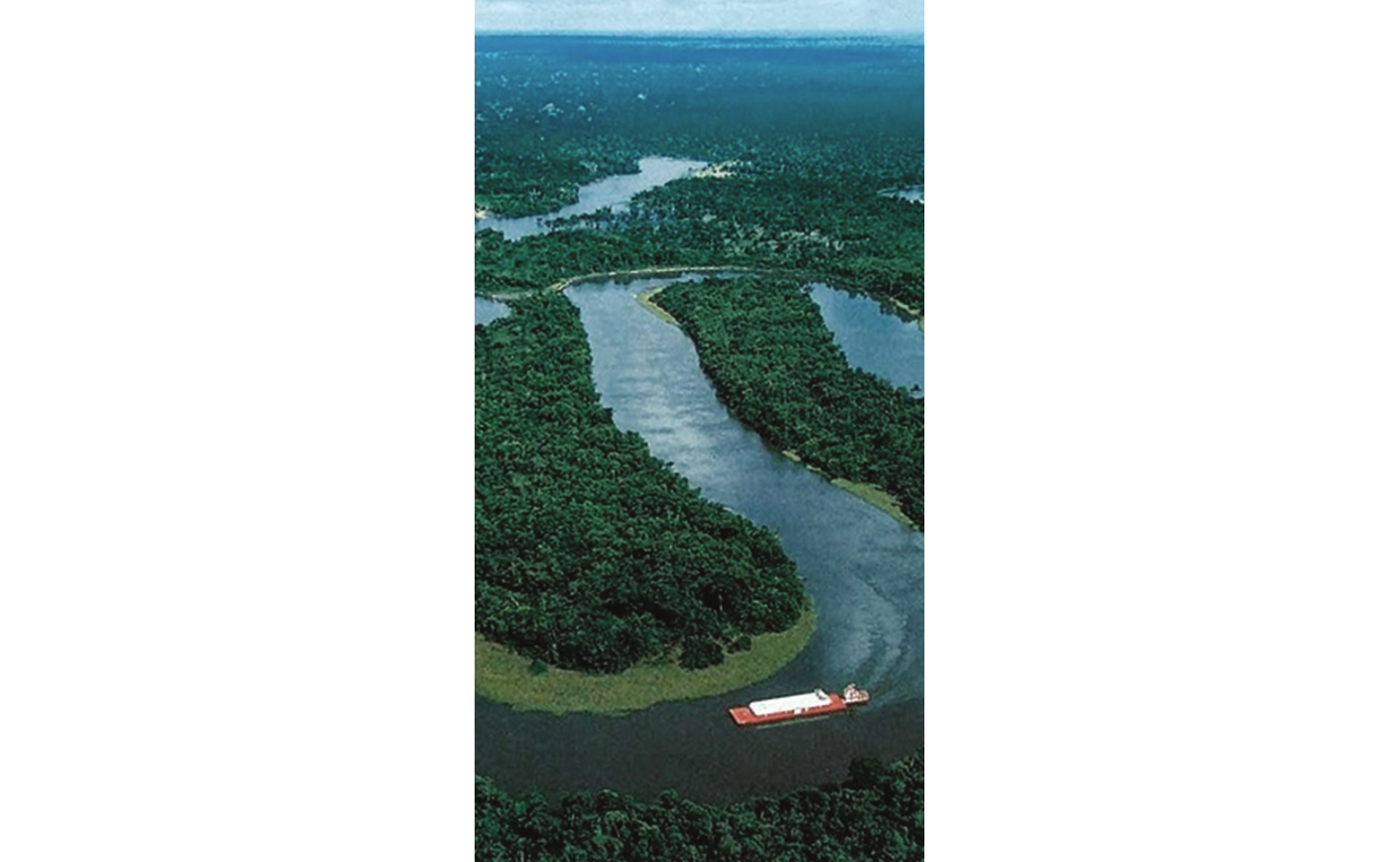Campagne Éco produits 2022-2023 du Ministère du Développement Durable et Transition Écologique: Biodiversiterre, à la découverte des plantes Amazoniennes médicinales